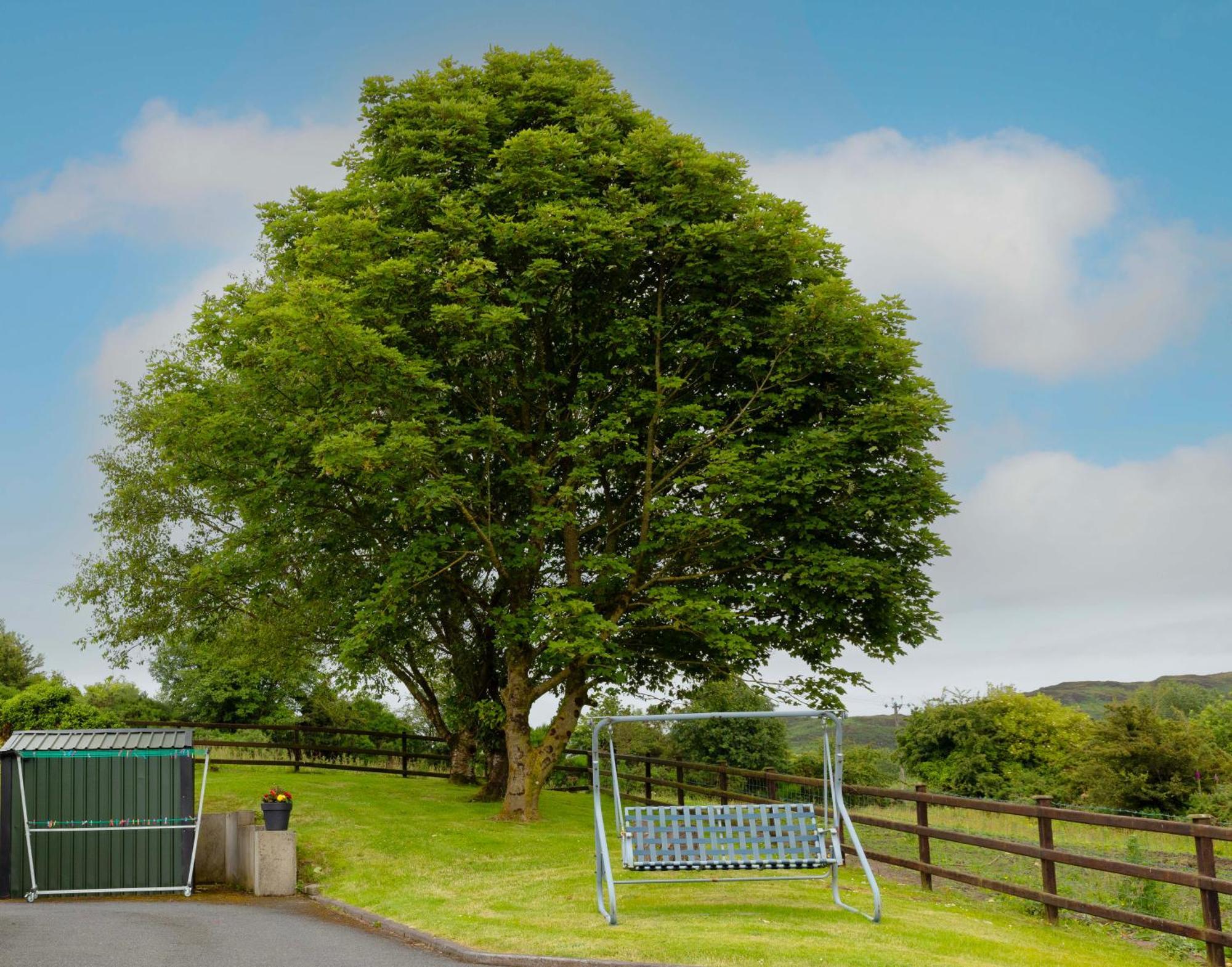 Mountain Nest At The Foot Of Slieve Gullion Apartment Cloghoge Exterior photo