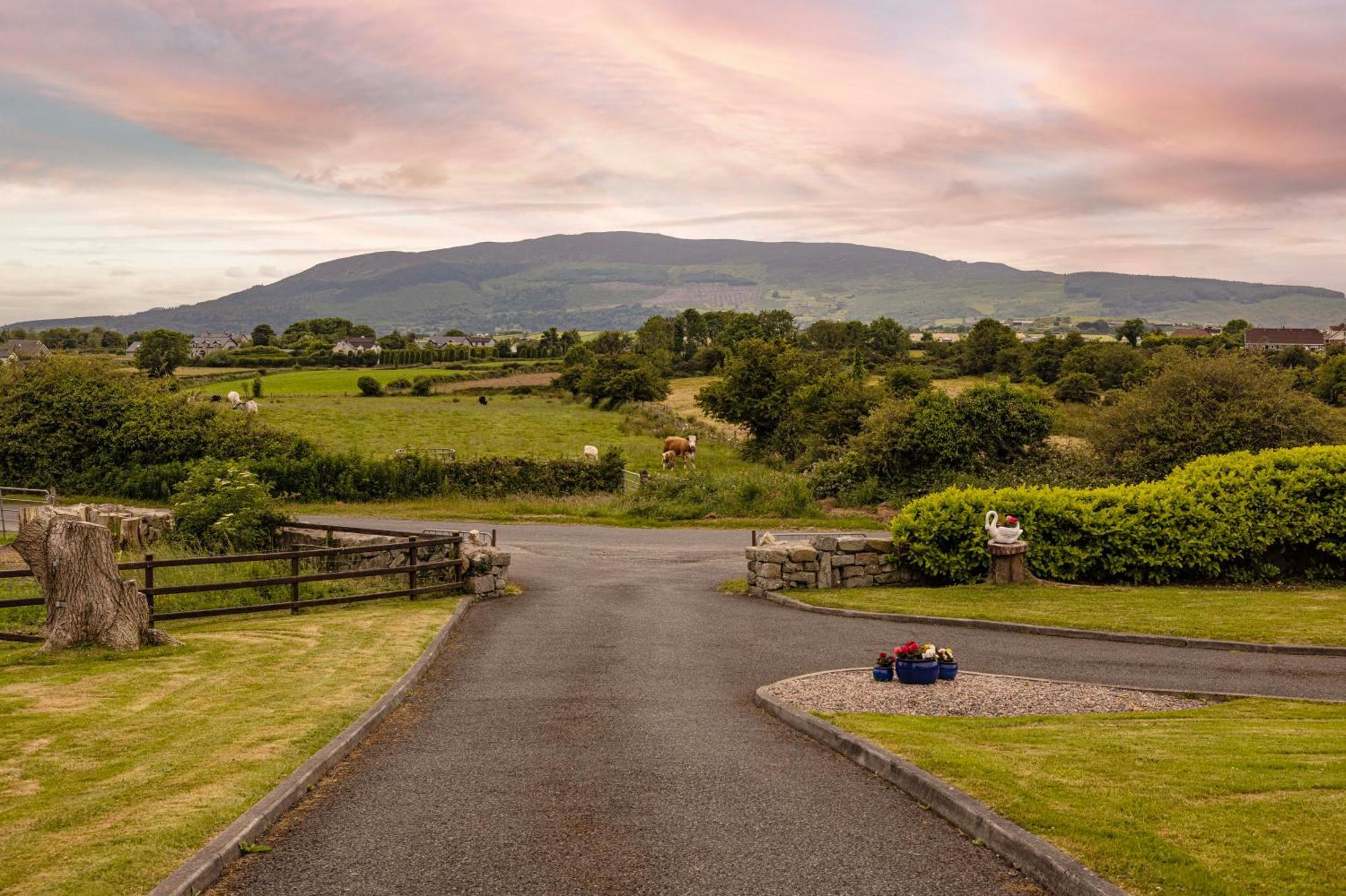 Mountain Nest At The Foot Of Slieve Gullion Apartment Cloghoge Exterior photo